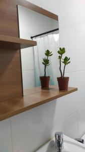 Fotografie z fotogalerie ubytování Apartamento El Arrayán v destinaci Tacuarembó