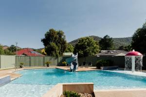 a swimming pool with a dolphin jumping out of the water at Tasman Holiday Parks - South Bright in Bright