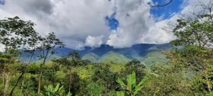 a view of a forest with mountains in the background at Buena Vista Ecohotel in Los Medios