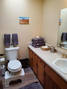 a bathroom with a toilet and a sink at ʻOhiʻa Lehua Forest House in Volcano +34 photos