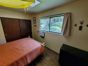 a bedroom with a bed and a window in it at ʻOhiʻa Lehua Forest House in Volcano