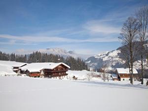 Apartment in Hopfgarten near Wilder Kaiser v zime