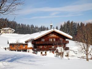 Apartment in Hopfgarten near Wilder Kaiser v zime