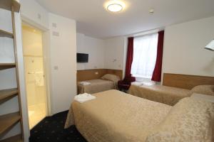 TV a/nebo společenská místnost v ubytování Ridgemount Hotel