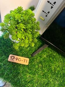 Κήπος έξω από το Cebu Mactan Newtown Family Condo