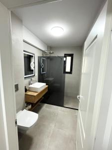 a bathroom with a toilet and a sink at ONE Apartment in Iaşi