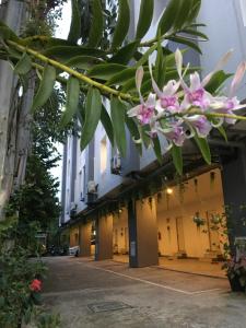 Zahrada ubytování At Ease Hotel Suvarnabhumi