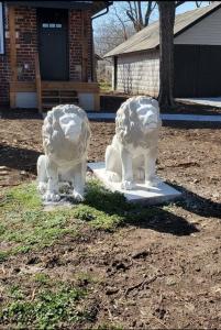 Fotografie z fotogalerie ubytování Lions Lair - 1 BR 1 BA Home Coffee Smrt TV Wifi v destinaci Wichita