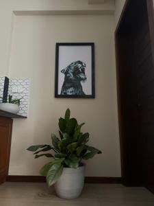 Galeriebild der Unterkunft Unit One by Hideout Lounge in Kandy