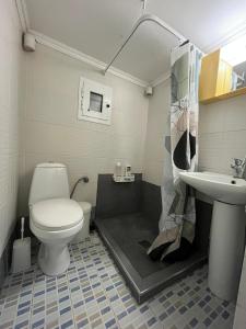 a small bathroom with a toilet and a sink at Stelios Home in Nea Vrasna +13 photos