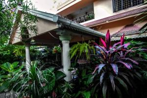 Bella Homestay Kerala外面的花园