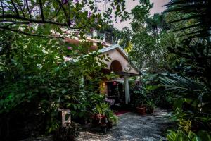 Bella Homestay Kerala外面的花园