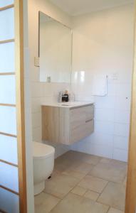 a bathroom with a toilet and a sink and a mirror at Ellen City Centre in Fremantle +40 photos
