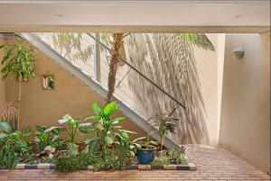 an indoor garden with plants and a staircase at Ellen City Centre in Fremantle