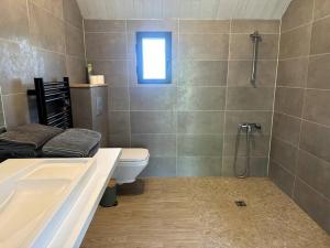 a bathroom with a toilet and a sink and a shower at Les lodges de Marie Chalet 3 in Banassac