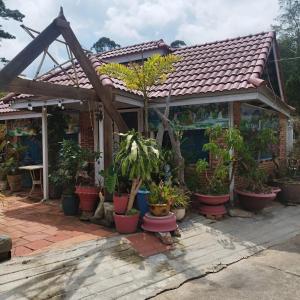 Zahrada ubytování Hoa Chuông Villa Đà Lạt