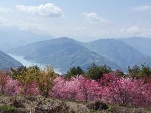 果色天香評價、特色體驗、房價資訊、訂房連結 – 山景陽台與親切主人 - 照片 18