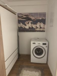 eine Waschküche mit einer Waschmaschine und einem Bild von Vögeln in der Unterkunft Stuttgart mitte in Stuttgart