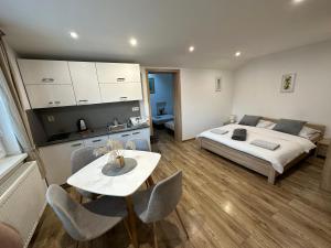 Postel nebo postele na pokoji v ubytování Apartments Albi