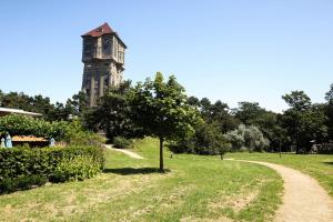 a tree in a field with a building in the background at Hotel Royal in IJmuiden