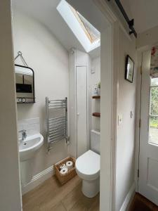 a bathroom with a toilet and a sink at The Parcel Shed Gilling East in Gilling East