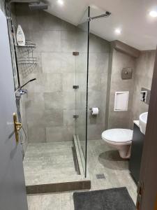 un baño con ducha y WC en Elegant 3 Alexander Services Apartments luxury four bedroom penthouse, en Bansko