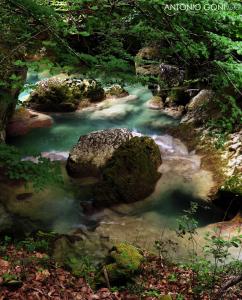 un ruisseau d'eau avec des rochers dans une forêt dans l'établissement Nekasenea II, à Garísoain