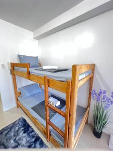 マニラにあるUnistay SHORE Residence w Balcony Amazing Manila Bay view near MOAの植物のある部屋の二段ベッド1台分です。