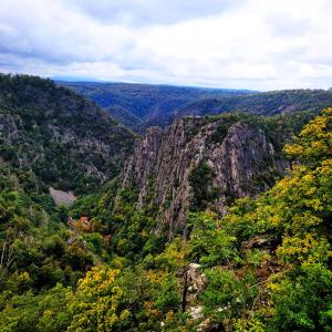 a view of a canyon with trees and rocks at Pension im Tal der Stille - Thale OT Treseburg in Thale