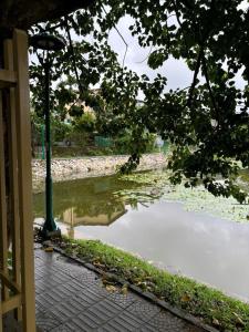 a body of water with a street light next to it at Pamela Homestay in Thôn An Hòa