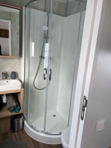 ein Badezimmer mit Dusche und Waschbecken in der Unterkunft Franz Josefs Tinyhäuser in Untergriesbach + 34 Fotos