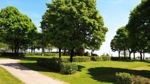 Ein Garten an der Unterkunft Franz Josefs Tinyhäuser