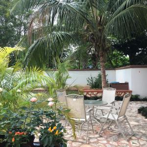 a patio with a table and chairs and a palm tree at Casa de los Pianos in Uaymá