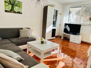 TV a/nebo společenská místnost v ubytování Alpenruhe Residenz