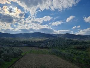 an aerial view of a field with mountains in the background at Lumari Living in Ballsh