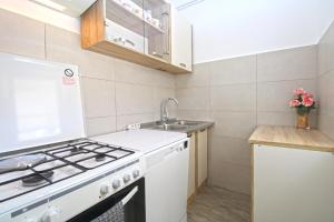 Kuchyň nebo kuchyňský kout v ubytování Apartment Dragomir 1052