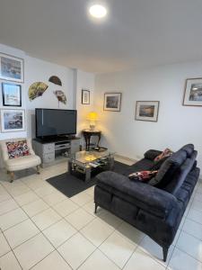 a living room with a couch and a tv at Chaleureux appartement sur Brest in Brest