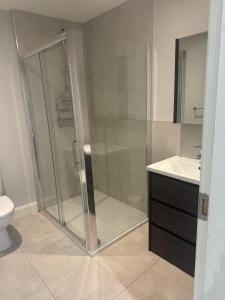 a bathroom with a shower and a toilet and a sink at Nile Lodge in Galway