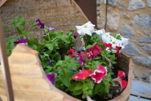 A garden outside Stratis Tower since 1892
