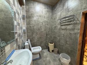a bathroom with a toilet and a sink in it at Hotel Ambassador Varanasi in Varanasi
