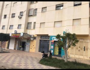 dos perros sentados frente a un edificio en Appartement Familial pres la nouvelle gare routière & Grand Stade de Tanger, en Tánger