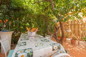 A garden outside La Bouganville Holiday House