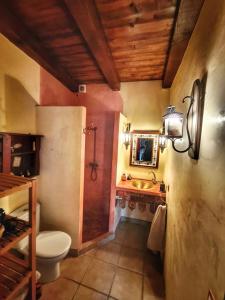 a bathroom with a toilet and a sink and a mirror at El Jardín Secreto in Orés