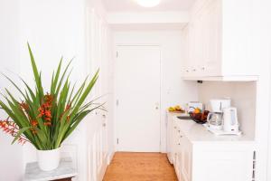 a white kitchen with a potted plant on the counter at Ventoura Suites, Corfu Old Town in Corfu +44 photos