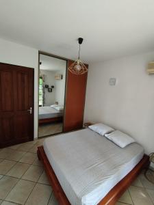 a bedroom with a large bed and a mirror at Chambre chez l'habitant clim piscine wifi in Saint-Pierre