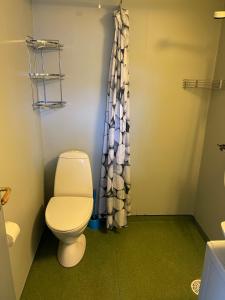 a bathroom with a toilet and a shower at Beach cabin Eiketun in Larvik +13 photos