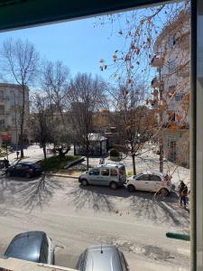 Imagine din galeria proprietății Alice's House în Civitavecchia