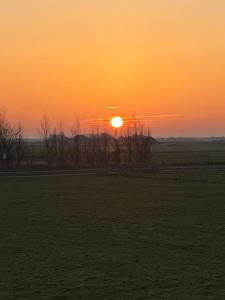 een zonsondergang in een veld met de zon aan de hemel bij Oomes Huus - Sleep by Hästens, Wake with Coffee in Den Hoorn