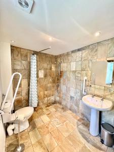 a bathroom with a toilet and a sink at Ysgubor in St. Davids