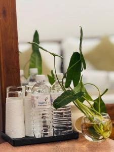 una botella de agua y una planta sobre una mesa en Villa Blue Bird, en Negombo 14 fotos más
